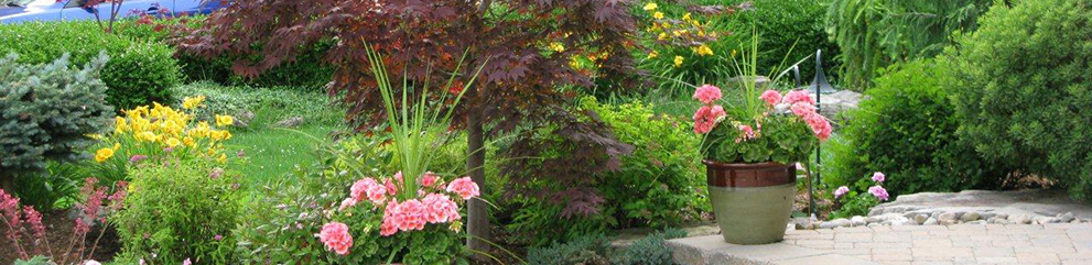 Low maintenance front yard landscapers, trees, shrubs