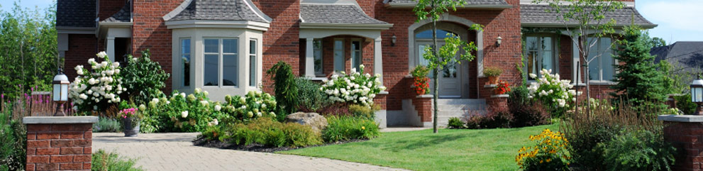 Front Yard Landscaping