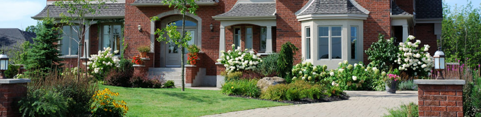 Front Yard Landscaping