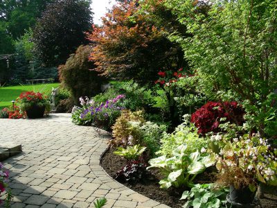 Trees and Shrubs – Dutchman's Landscaping