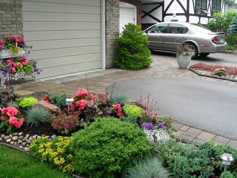 front yard landscaping, trees, shrubs, gardens