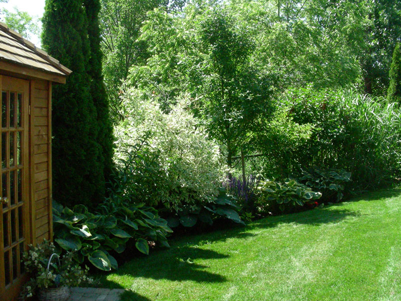 backyard landscaping, trees, shrubs, gardens