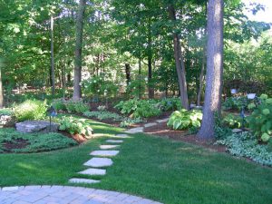 backyard landscaping, trees, shrubs, gardens