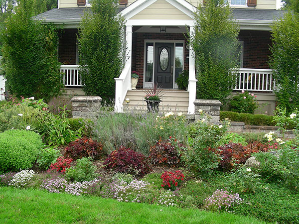 Low maintenance front yard landscapers, gardens