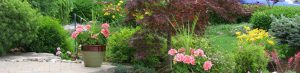 Low maintenance front yard landscapers, trees, shrubs