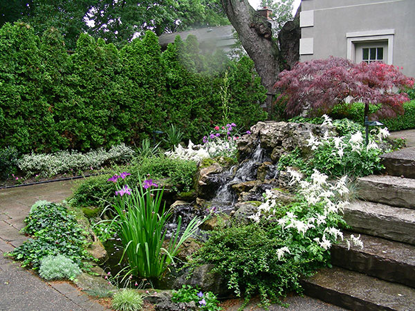 Low maintenance front yard landscaping